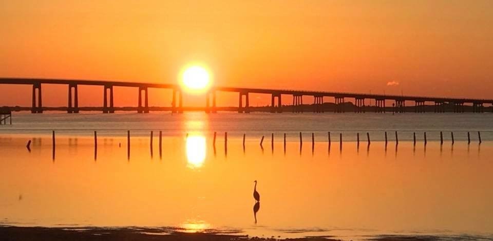 Pensacola Beach View at Sunset with a heron enjoying the view