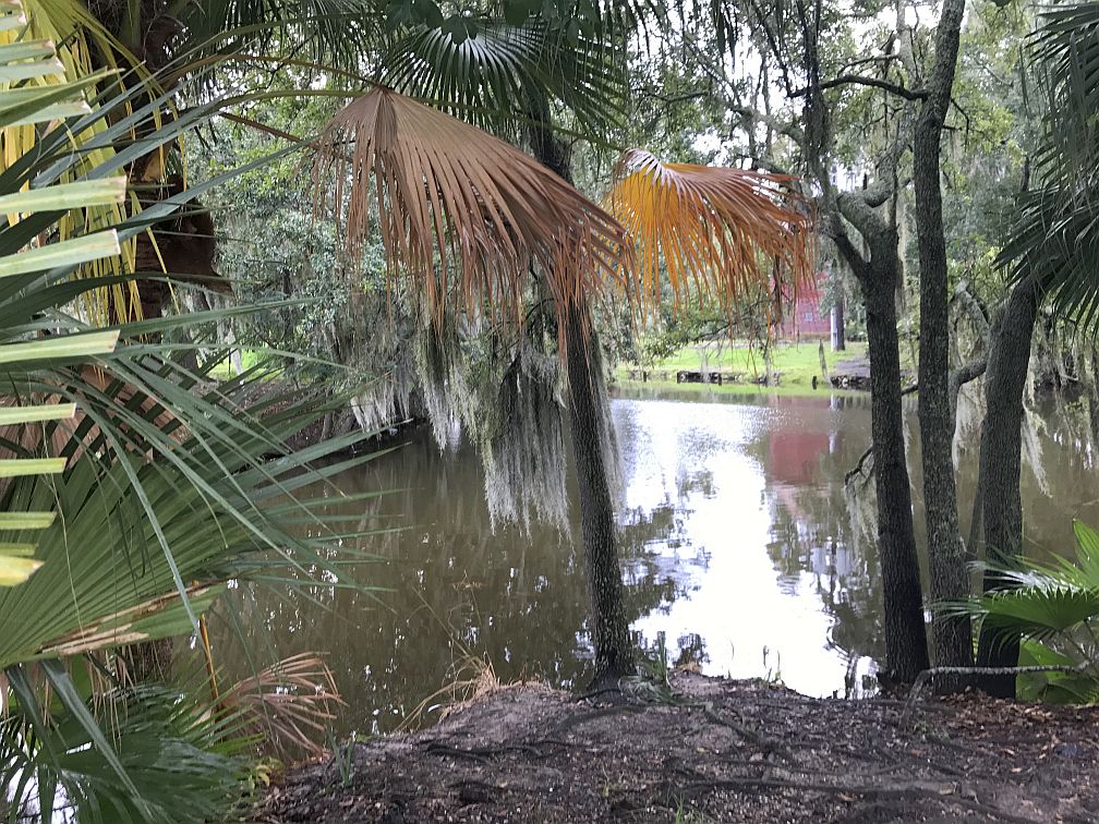 Pond in a Park in New Orleans