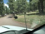 Bearizona