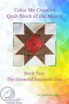 The Diamond Sawtooth Star Pin