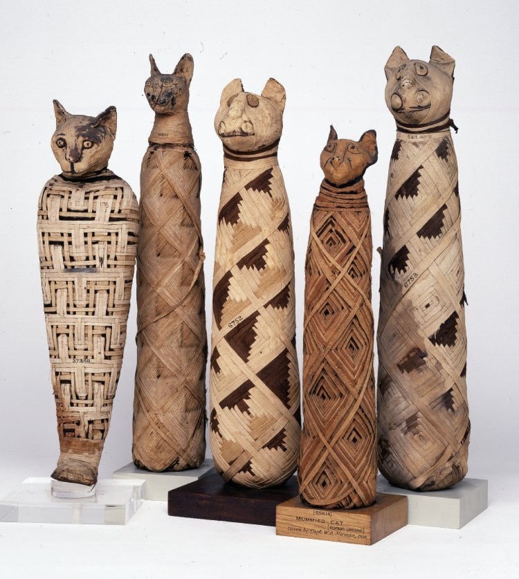 Mummy Cats wrapped in a log cabin pattern