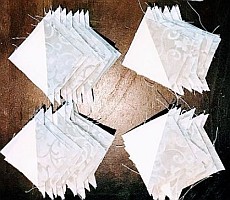 Dragonfly Dance Mystery Quilt Tutorial