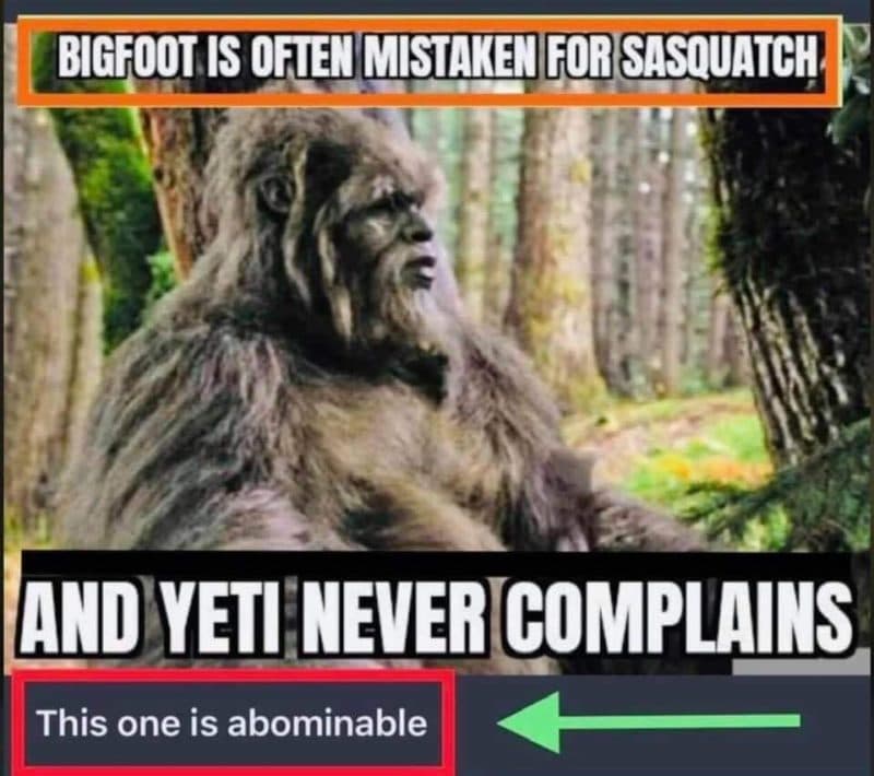 Bigfoot Meme