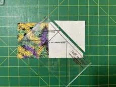 Mardi-Gras-Magic-Block Cut