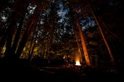 A cozy campsite in a dense forest at night with a campfire, two people sitting and enjoying the outdoor experience, highlighting adventure and nature exploration.