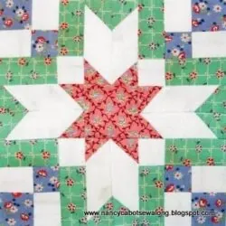 Colorful quilt block with detailed star pattern and vibrant fabric designs, showcasing handmade patchwork craftsmanship. Perfect for quilting enthusiasts and sewing project inspiration.