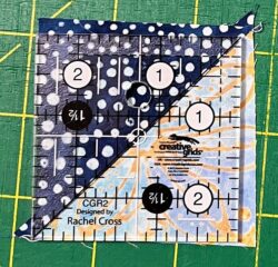 Octopus-Arms-CGR-ruler
