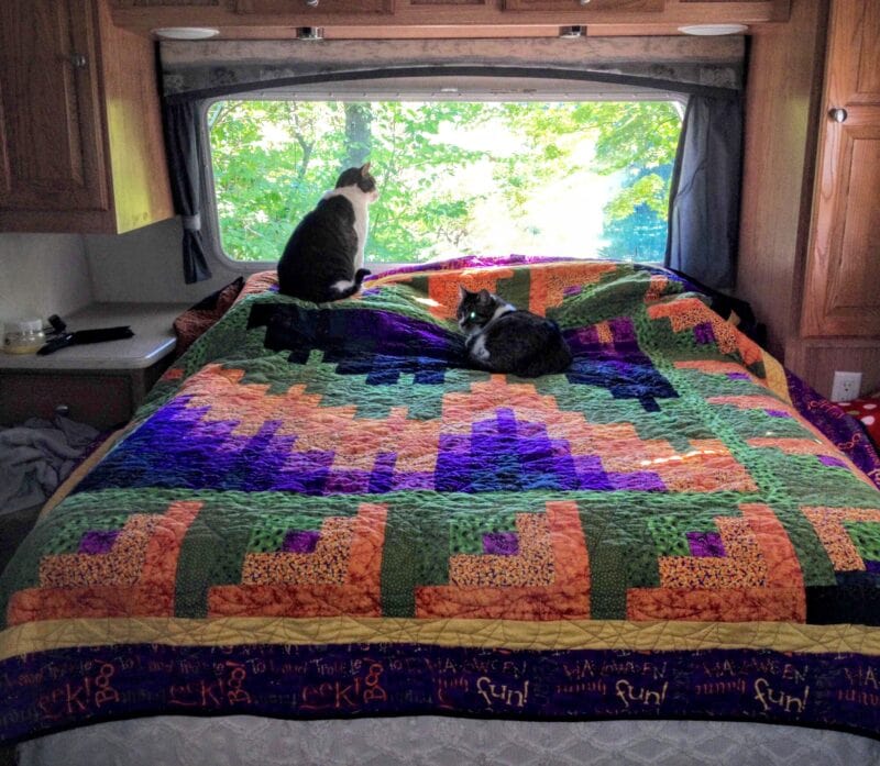 Two cats rest on a colorful quilted bed near a large window, with green trees visible outside. One cat sits and looks out the window while the other lounges on the bed.